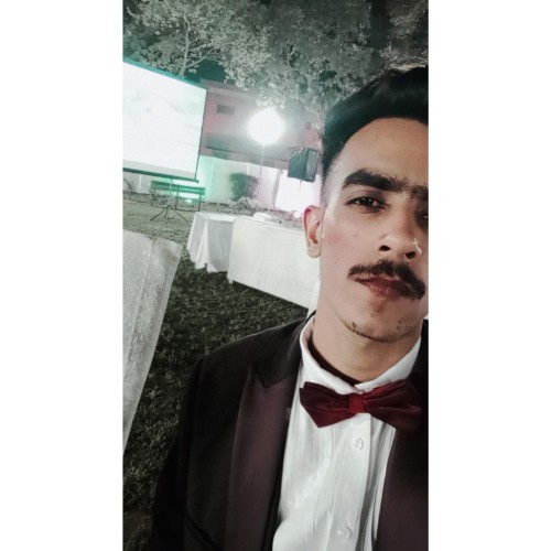 Ali  Z.