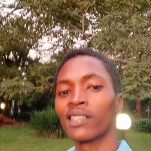 Morris N. profile photo