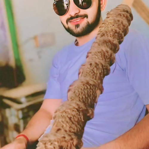 Sourabh K. profile photo