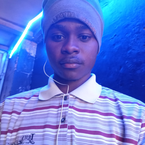 Amir S. profile photo