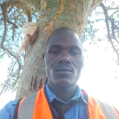 Nathan L. profile photo