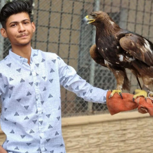 Malik A. profile photo