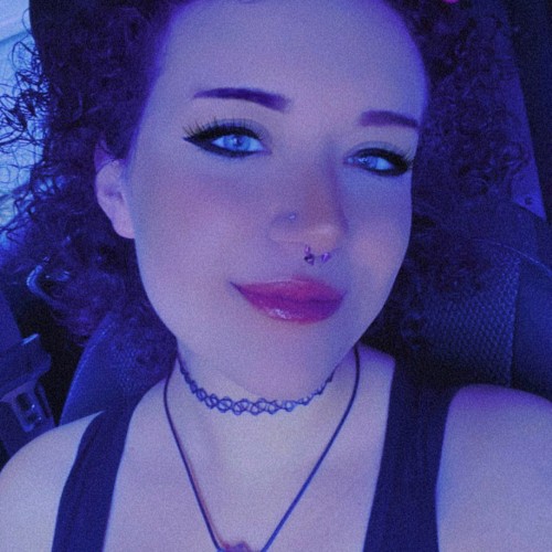 alex k. profile photo