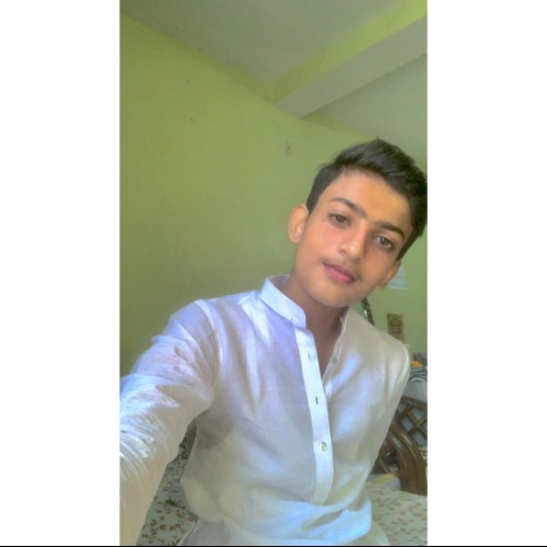 Arsh A.