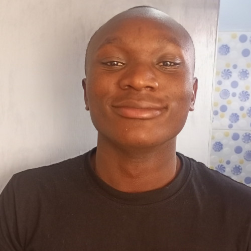 Dennis K. profile photo