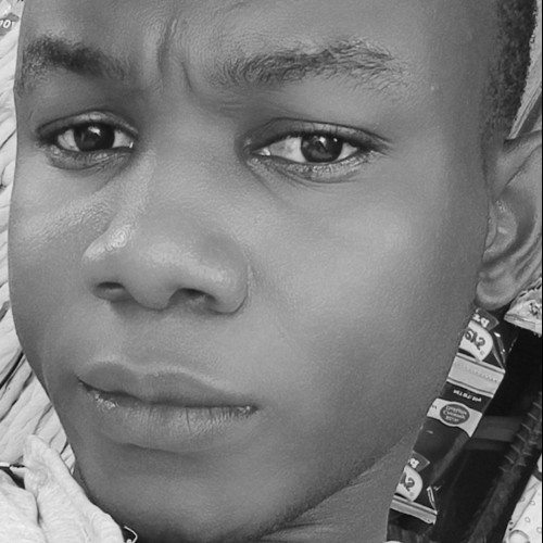Kingsley c. profile photo