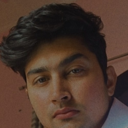 Mohit C.