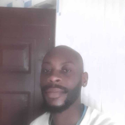 busy o.