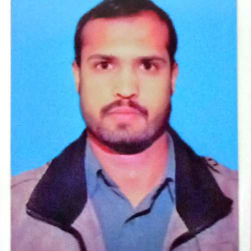 Muhammad  N. profile photo
