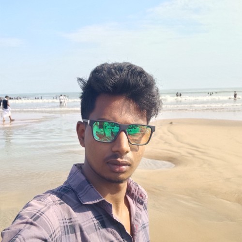 Souvik G.