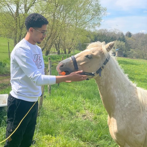 Mouad E. profile photo