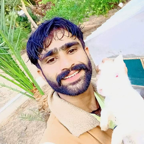 Arshd A. profile photo