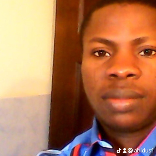 Abideen s. profile photo