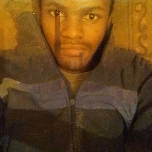 peter K. profile photo