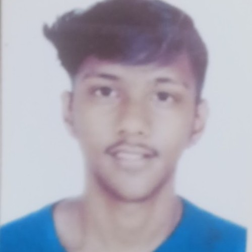 Krupesh C.