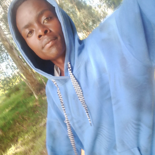 Michael  K. profile photo