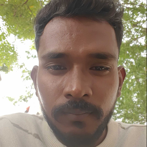 kittu d. profile photo