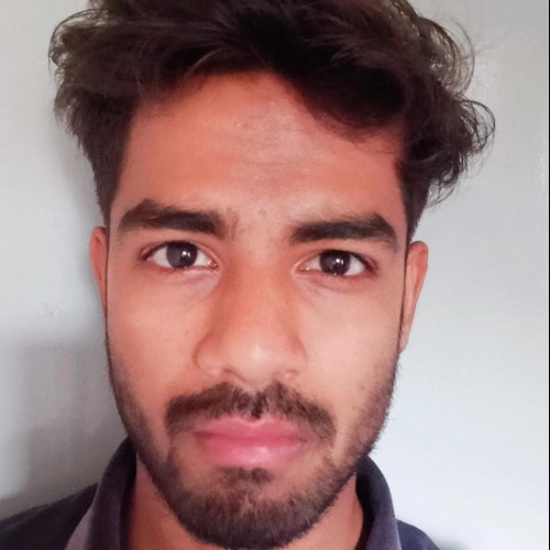 Niraj M. profile photo