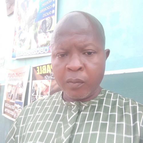 Bamidele F. profile photo