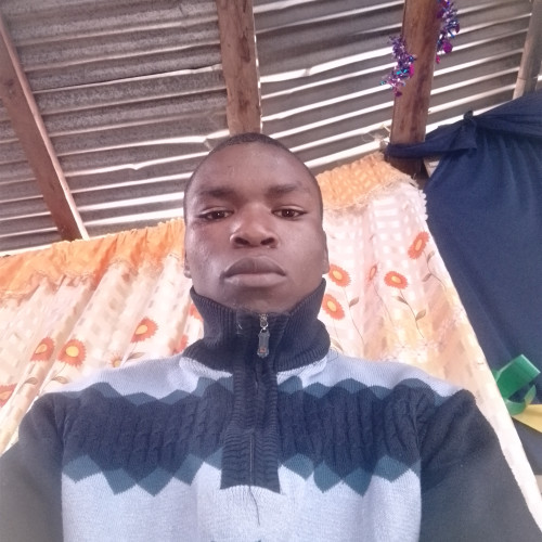 Nicholas K. profile photo