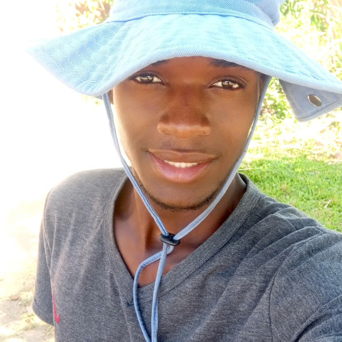 Collen N. profile photo