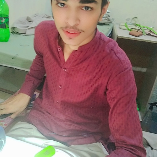 Sajeel  A. profile photo