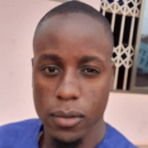 Ayodeji  O. profile photo