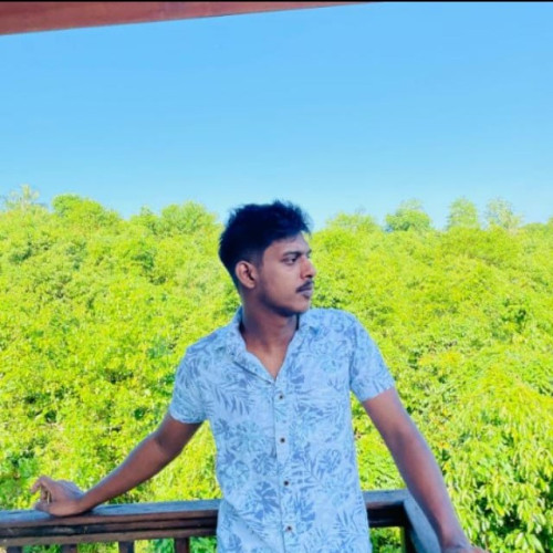 Nimesh N. profile photo
