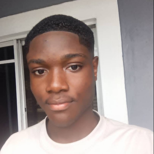 David E. profile photo