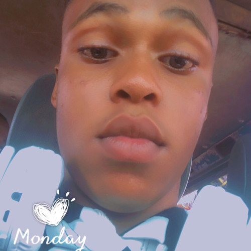 Davestable  D. profile photo