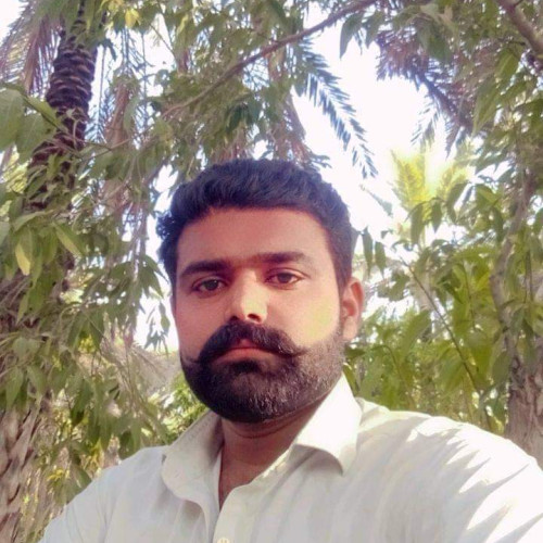 Majid S. profile photo
