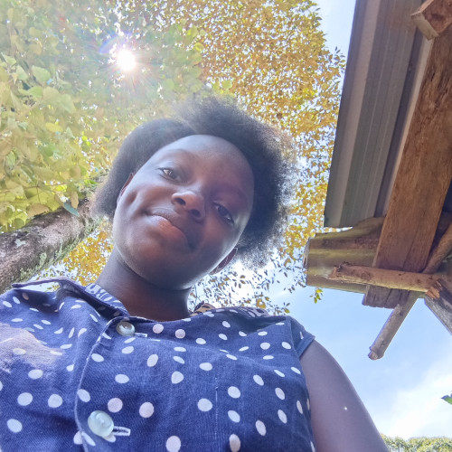 Anne N. profile photo