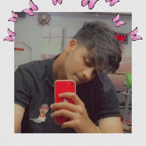 Nitya S. profile photo