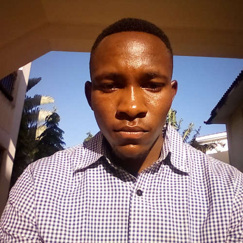 Brian N. profile photo