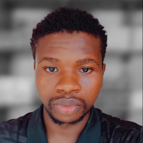 Bukola O. profile photo