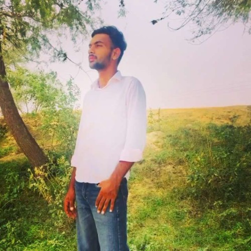 Akshay  D. profile photo