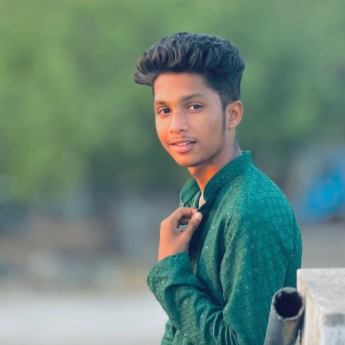 Shaik S. profile photo