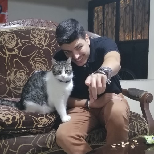 Hamilton D. profile photo