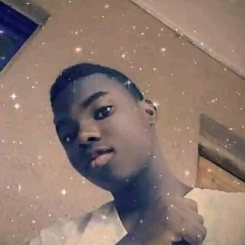 Uchenna S. profile photo