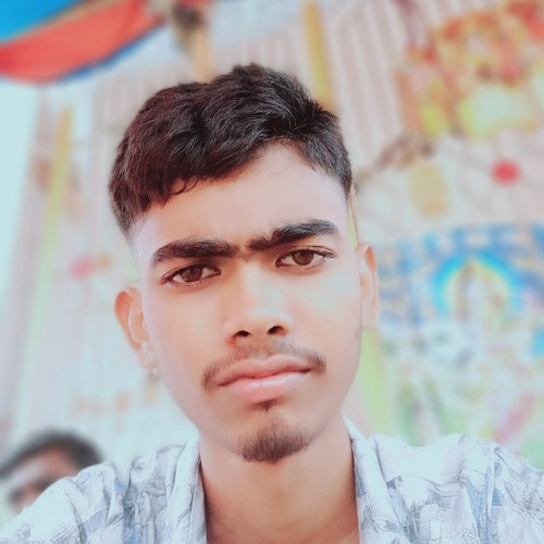 Pranab P.