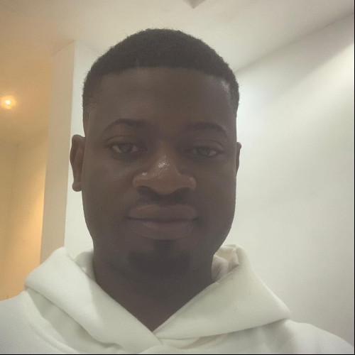 OLUSEGUN O. profile photo