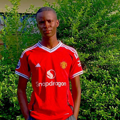 Elvis M. profile photo