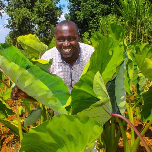 Agripa k. profile photo