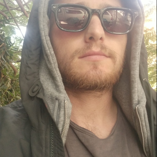 Tomer  L. profile photo