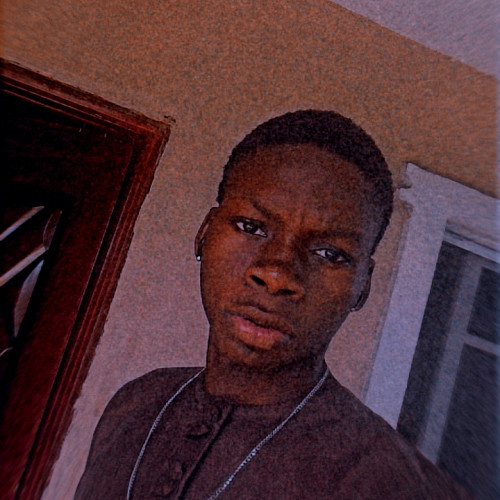 Fashola  B. profile photo