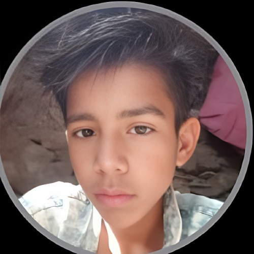 Dharmendra  V. profile photo