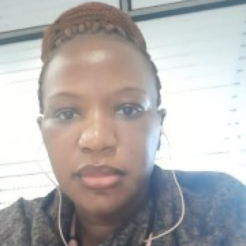 Gimbo  N. profile photo