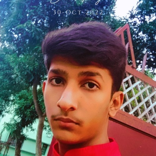 Rajit S.