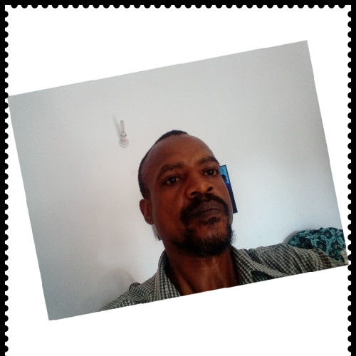 Shimron  A. profile photo