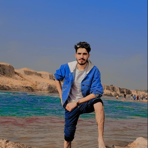Ali S.